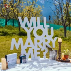 Picnic Proposal at Home