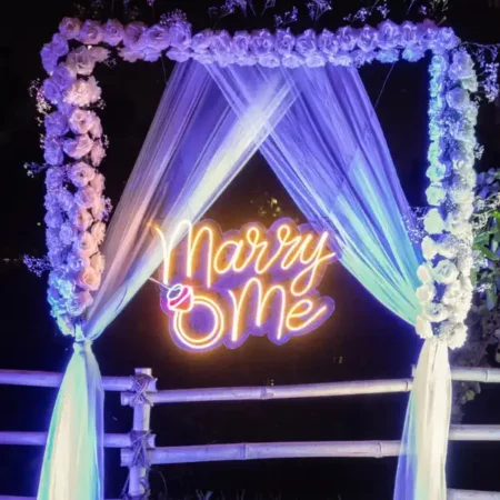 The Lakeview Proposal