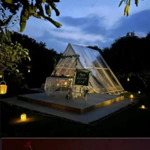 golden-hour-glasshouse-experience