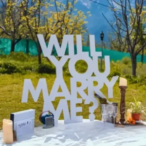 picnic-proposal-at-home